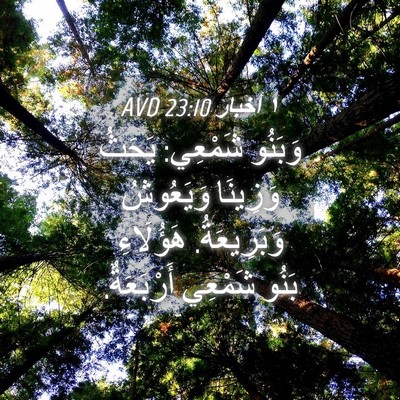Picture 04 - ١ أخبار 23:10 AVD - وَبَنُو شَمْعِي: يَحَثُ - Bible Verse Picture