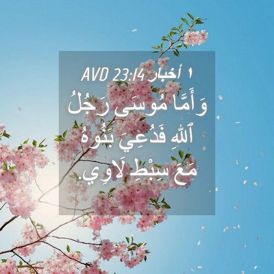 Picture 04 - ١ أخبار 23:14 AVD - وَأَمَّا مُوسَى رَجُلُ - Bible Verse Picture