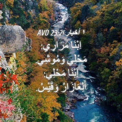 Picture 04 - ١ أخبار 23:21 AVD - اِبْنَا مَرَارِي: مَحْلِي - Bible Verse Picture