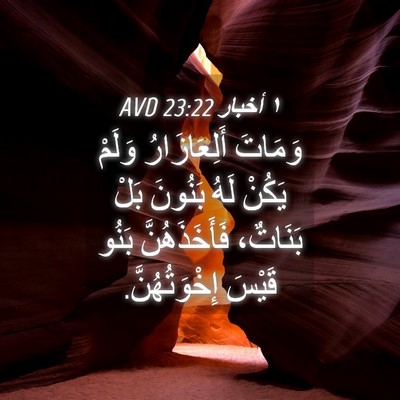 Picture 04 - ١ أخبار 23:22 AVD - وَمَاتَ أَلِعَازَارُ - Bible Verse Picture