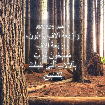 Picture 04 - ١ أخبار 23:5 AVD - وَأَرْبَعَةُ آلَافٍ - Bible Verse Picture