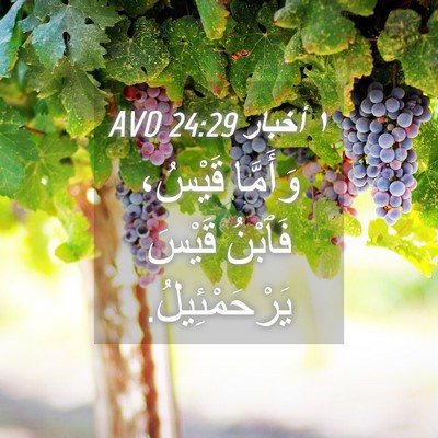 Picture 04 - ١ أخبار 24:29 AVD - وَأَمَّا قَيْسُ، فَٱبْنُ - Bible Verse Picture