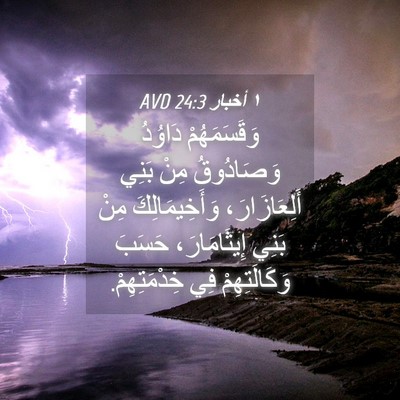 Picture 04 - ١ أخبار 24:3 AVD - وَقَسَمَهُمْ دَاوُدُ - Bible Verse Picture