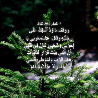 Picture 04 - ١ أخبار 28:2 AVD - وَوَقَفَ دَاوُدُ - Bible Verse Picture