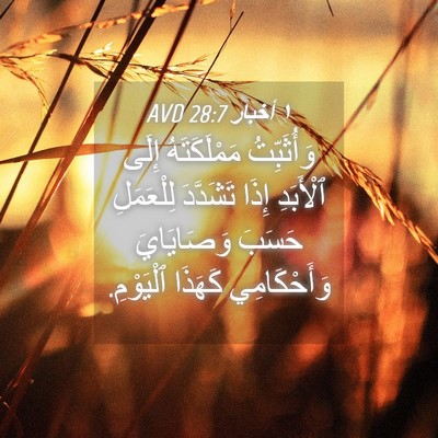 Picture 04 - ١ أخبار 28:7 AVD - وَأُثَبِّتُ مَمْلَكَتَهُ - Bible Verse Picture