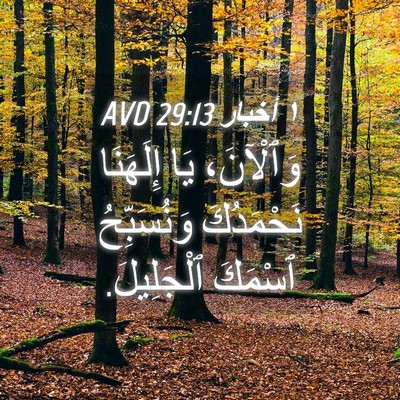 Picture 04 - ١ أخبار 29:13 AVD - وَٱلْآنَ، يَا إِلَهَنَا - Bible Verse Picture