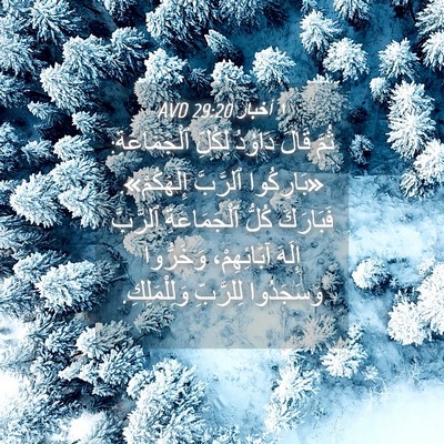 Picture 04 - ١ أخبار 29:20 AVD - ثُمَّ قَالَ دَاوُدُ - Bible Verse Picture