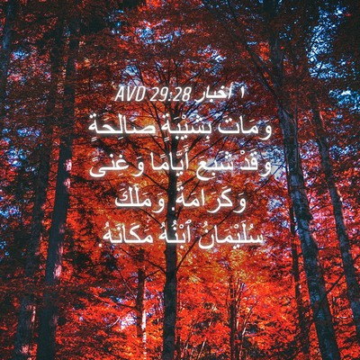 Picture 04 - ١ أخبار 29:28 AVD - وَمَاتَ بِشَيْبَةٍ - Bible Verse Picture