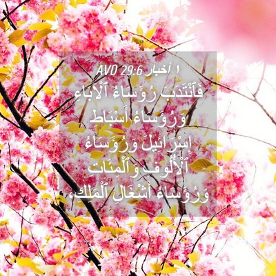 Picture 04 - ١ أخبار 29:6 AVD - فَٱنْتَدَبَ رُؤَسَاءُ - Bible Verse Picture
