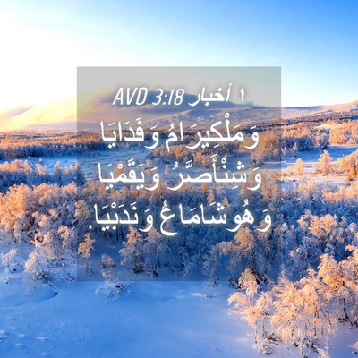 Picture 04 - ١ أخبار 3:18 AVD - وَمَلْكِيرَامُ وَفَدَايَا - Bible Verse Picture