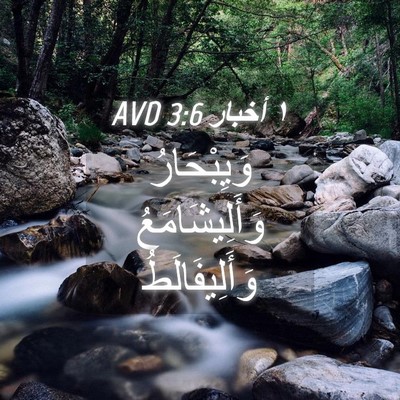 Picture 04 - ١ أخبار 3:6 AVD - وَيِبْحَارُ - Bible Verse Picture