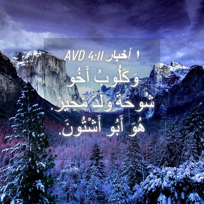 Picture 04 - ١ أخبار 4:11 AVD - وَكَلُوبُ أَخُو شُوحَةَ - Bible Verse Picture