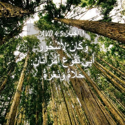 Picture 04 - ١ أخبار 4:5 AVD - وَكَانَ لِأَشْحُورَ أَبِي - Bible Verse Picture