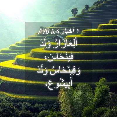Picture 04 - ١ أخبار 6:4 AVD - أَلِعَازَارُ وَلَدَ - Bible Verse Picture