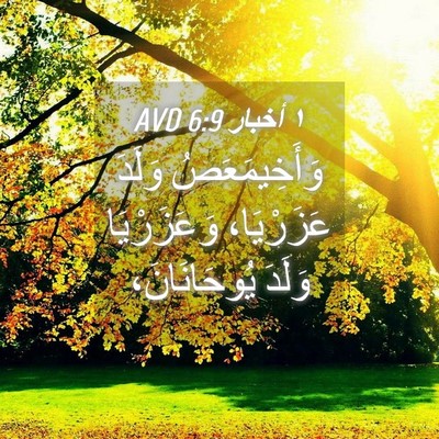 Picture 04 - ١ أخبار 6:9 AVD - وَأَخِيمَعَصُ وَلَدَ - Bible Verse Picture