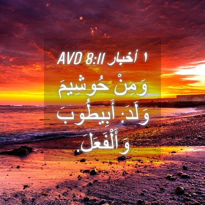 Picture 04 - ١ أخبار 8:11 AVD - وَمِنْ حُوشِيمَ وَلَدَ: - Bible Verse Picture