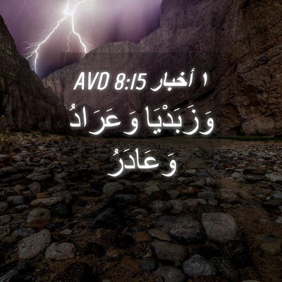 Picture 04 - ١ أخبار 8:15 AVD - وَزَبَدْيَا وَعَرَادُ - Bible Verse Picture