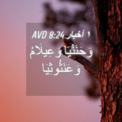 Picture 04 - ١ أخبار 8:24 AVD - وَحَنَنْيَا وَعِيلَامُ - Bible Verse Picture