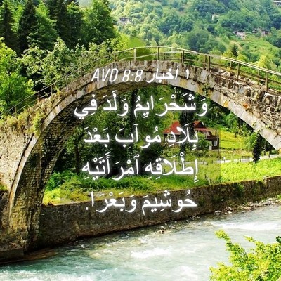 Picture 04 - ١ أخبار 8:8 AVD - وَشَحْرَايِمُ وَلَدَ فِي - Bible Verse Picture