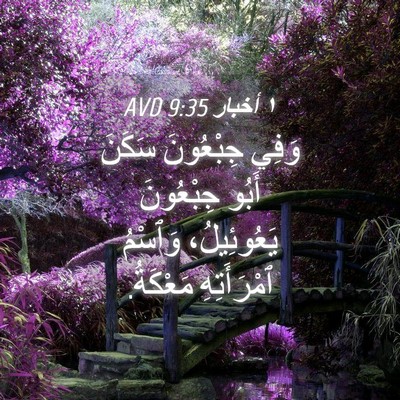 Picture 04 - ١ أخبار 9:35 AVD - وَفِي جِبْعُونَ سَكَنَ - Bible Verse Picture