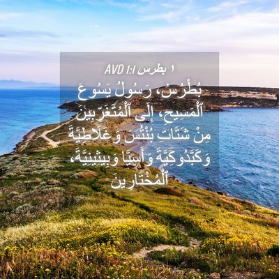 Picture 04 - ١ بطرس 1:1 AVD - بُطْرُسُ، رَسُولُ يَسُوعَ - Bible Verse Picture