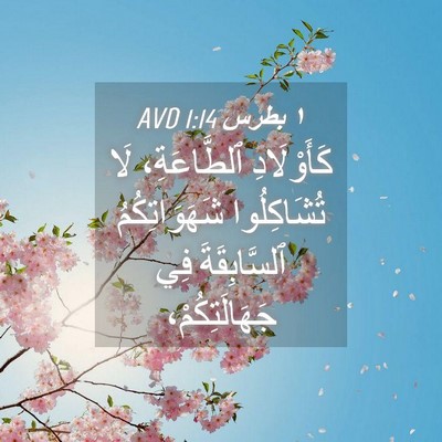 Picture 04 - ١ بطرس 1:14 AVD - كَأَوْلَادِ ٱلطَّاعَةِ، - Bible Verse Picture