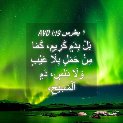 Picture 04 - ١ بطرس 1:19 AVD - بَلْ بِدَمٍ كَرِيمٍ، كَمَا - Bible Verse Picture
