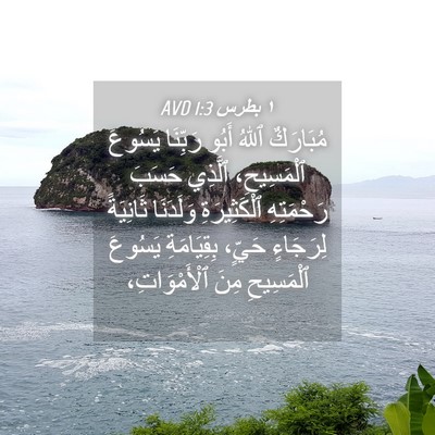 Picture 04 - ١ بطرس 1:3 AVD - مُبَارَكٌ ٱللهُ أَبُو - Bible Verse Picture