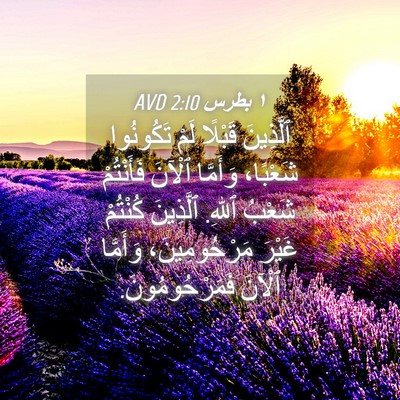 Picture 04 - ١ بطرس 2:10 AVD - ٱلَّذِينَ قَبْلًا لَمْ - Bible Verse Picture
