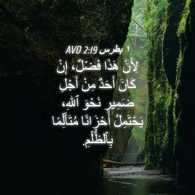 Picture 04 - ١ بطرس 2:19 AVD - لِأَنَّ هَذَا فَضْلٌ، إِنْ - Bible Verse Picture