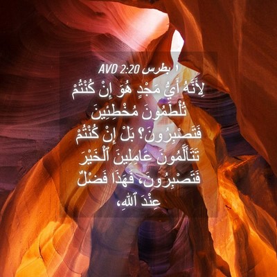 Picture 04 - ١ بطرس 2:20 AVD - لِأَنَّهُ أَيُّ مَجْدٍ - Bible Verse Picture
