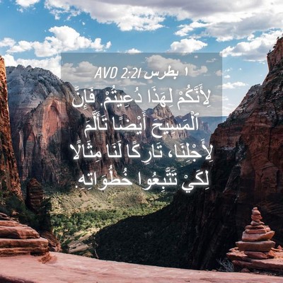 Picture 04 - ١ بطرس 2:21 AVD - لِأَنَّكُمْ لِهَذَا - Bible Verse Picture