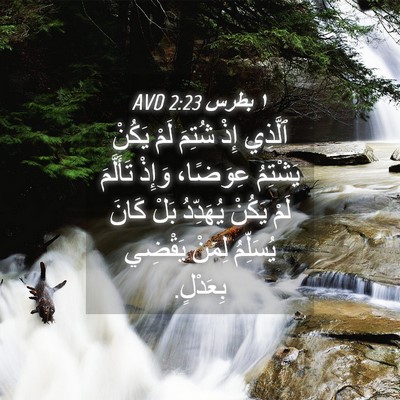 Picture 04 - ١ بطرس 2:23 AVD - ٱلَّذِي إِذْ شُتِمَ لَمْ - Bible Verse Picture
