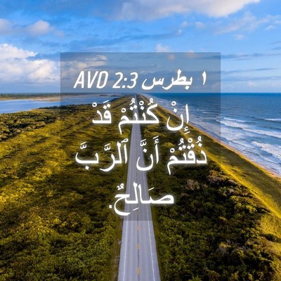 Picture 04 - ١ بطرس 2:3 AVD - إِنْ كُنْتُمْ قَدْ - Bible Verse Picture