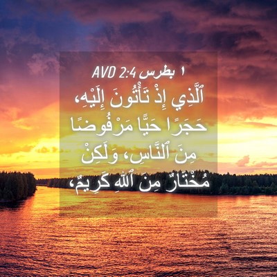 Picture 04 - ١ بطرس 2:4 AVD - ٱلَّذِي إِذْ تَأْتُونَ - Bible Verse Picture