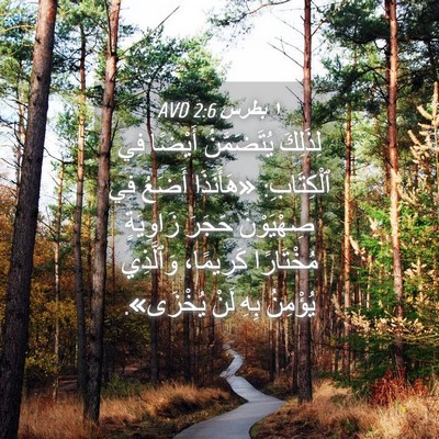 Picture 04 - ١ بطرس 2:6 AVD - لِذَلِكَ يُتَضَمَّنُ - Bible Verse Picture