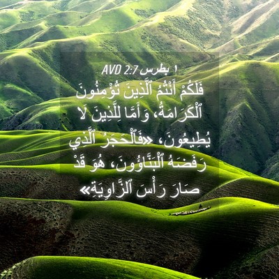Picture 04 - ١ بطرس 2:7 AVD - فَلَكُمْ أَنْتُمُ - Bible Verse Picture