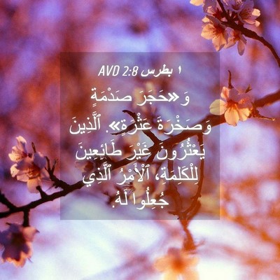 Picture 04 - ١ بطرس 2:8 AVD - وَ«حَجَرَ صَدْمَةٍ - Bible Verse Picture