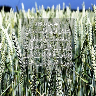 Picture 04 - ١ بطرس 3:1 AVD - كَذَلِكُنَّ أَيَّتُهَا - Bible Verse Picture