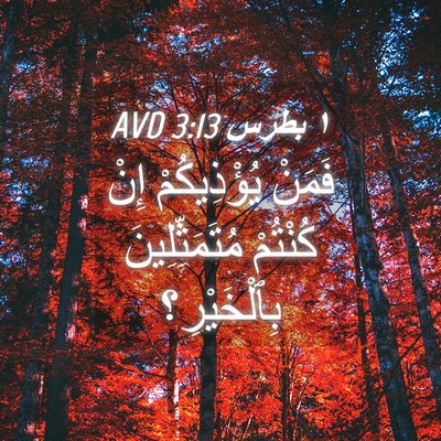 Picture 04 - ١ بطرس 3:13 AVD - فَمَنْ يُؤْذِيكُمْ إِنْ - Bible Verse Picture