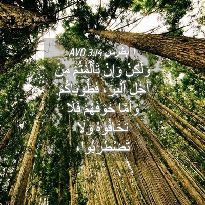 Picture 04 - ١ بطرس 3:14 AVD - وَلَكِنْ وَإِنْ - Bible Verse Picture