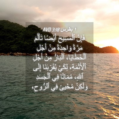 Picture 04 - ١ بطرس 3:18 AVD - فَإِنَّ ٱلْمَسِيحَ - Bible Verse Picture