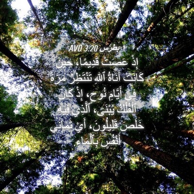 Picture 04 - ١ بطرس 3:20 AVD - إِذْ عَصَتْ قَدِيمًا، - Bible Verse Picture