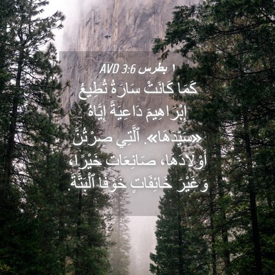 Picture 04 - ١ بطرس 3:6 AVD - كَمَا كَانَتْ سَارَةُ - Bible Verse Picture