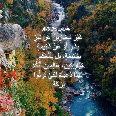 Picture 04 - ١ بطرس 3:9 AVD - غَيْرَ مُجَازِينَ عَنْ - Bible Verse Picture