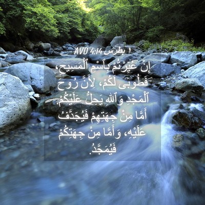 Picture 04 - ١ بطرس 4:14 AVD - إِنْ عُيِّرْتُمْ بِٱسْمِ - Bible Verse Picture