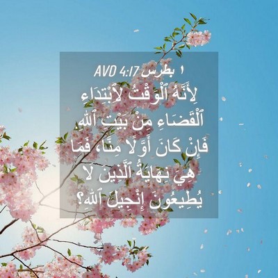 Picture 04 - ١ بطرس 4:17 AVD - لِأَنَّهُ ٱلْوَقْتُ - Bible Verse Picture