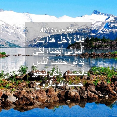 Picture 04 - ١ بطرس 4:6 AVD - فَإِنَّهُ لِأَجْلِ هَذَا - Bible Verse Picture