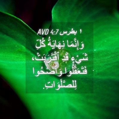 Picture 04 - ١ بطرس 4:7 AVD - وَإِنَّمَا نِهَايَةُ - Bible Verse Picture