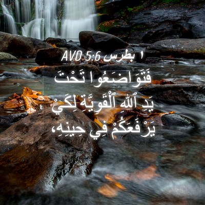Picture 04 - ١ بطرس 5:6 AVD - فَتَوَاضَعُوا تَحْتَ يَدِ - Bible Verse Picture